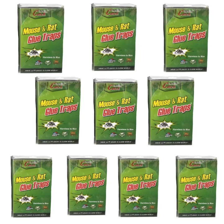Set 10 bucati capcana adeziv tip carte pentru daunatori, soareci si sobolani Green Trap