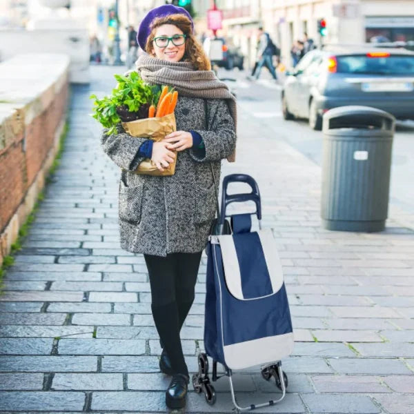 Cărucior de Cumpărături Pliabil cu 6 Roți, Structură Metalică Rezistentă și Husă Textilă Detașabilă, Lavabilă, Albastru Închis - Imagine 5