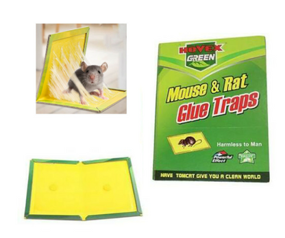 Set 10 bucati capcana adeziv tip carte pentru daunatori, soareci si sobolani Green Trap