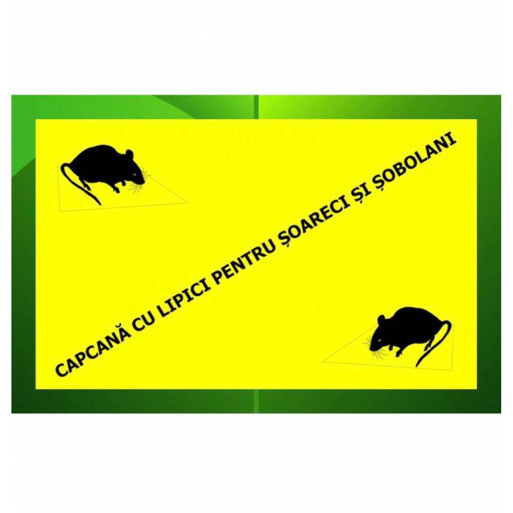 Set 10 bucati capcana adeziv tip carte pentru daunatori, soareci si sobolani Green Trap