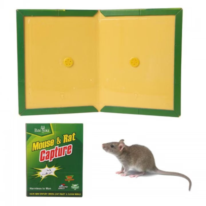 Set 10 bucati capcana adeziv tip carte pentru daunatori, soareci si sobolani Green Trap