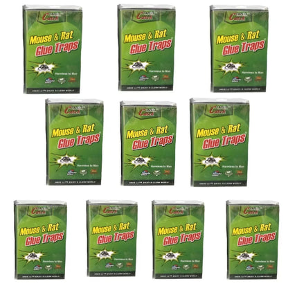 Set 10 bucati capcana adeziv tip carte pentru daunatori, soareci si sobolani Green Trap