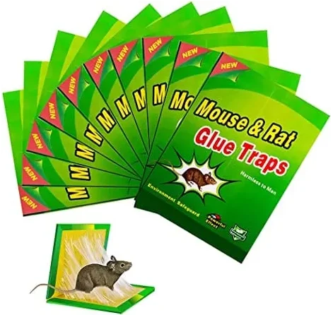 Set 10 bucati capcana adeziv tip carte pentru daunatori, soareci si sobolani Green Trap