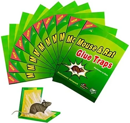 Set 10 bucati capcana adeziv tip carte pentru daunatori, soareci si sobolani Green Trap