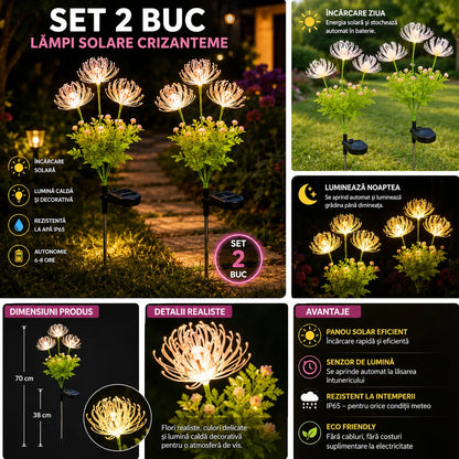Set 2X Lămpi Solare Decorative Tip Crizantemă LED, Iluminare Caldă pentru Grădină, Terasă și Alei, Încărcare Solară Automată, Rezistente la Apă IP65, Flori Luminoase pentru Decor Exterior